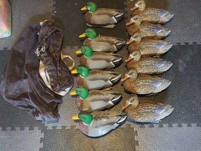 12 mallard decoys with bag and weights
