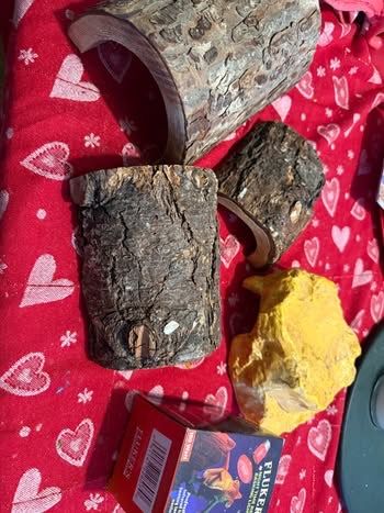 Reptile Enclosure Hides And Night Heat Lamp Bulb