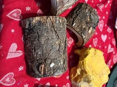 Reptile Enclosure Hides And Night Heat Lamp Bulb