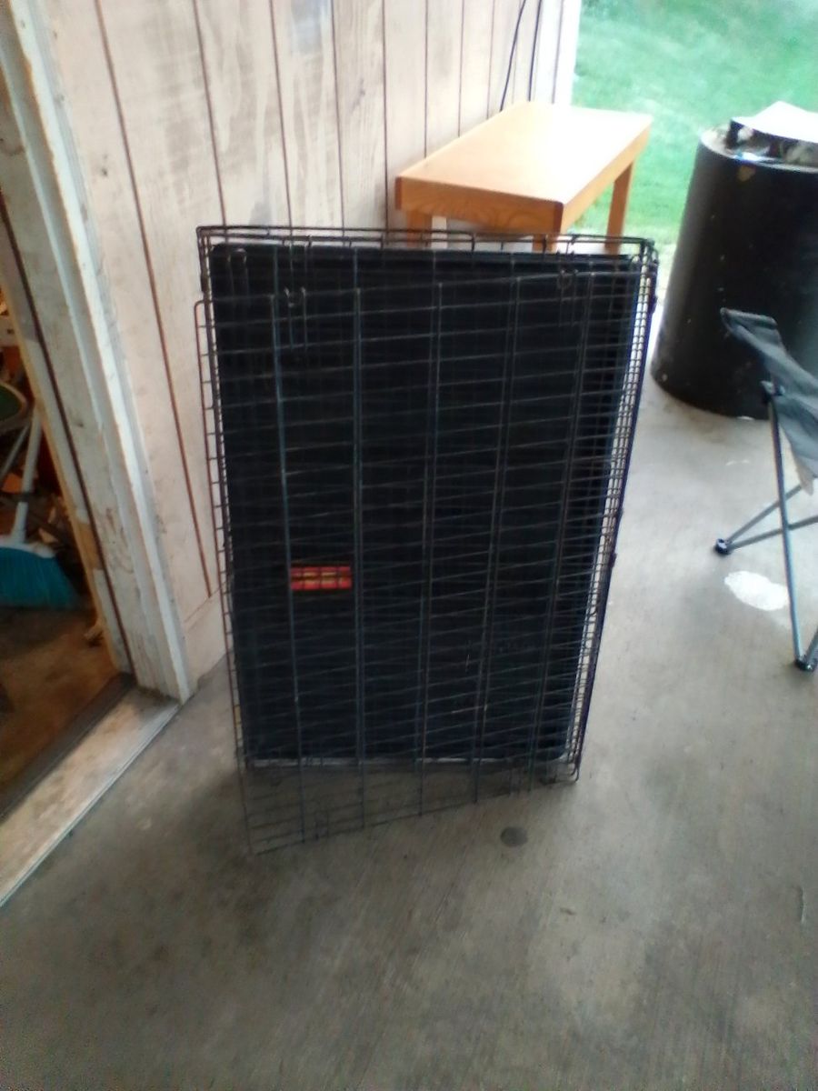 Collapsible Black Wire Dog Crate - Used Pet Carrier Kennel