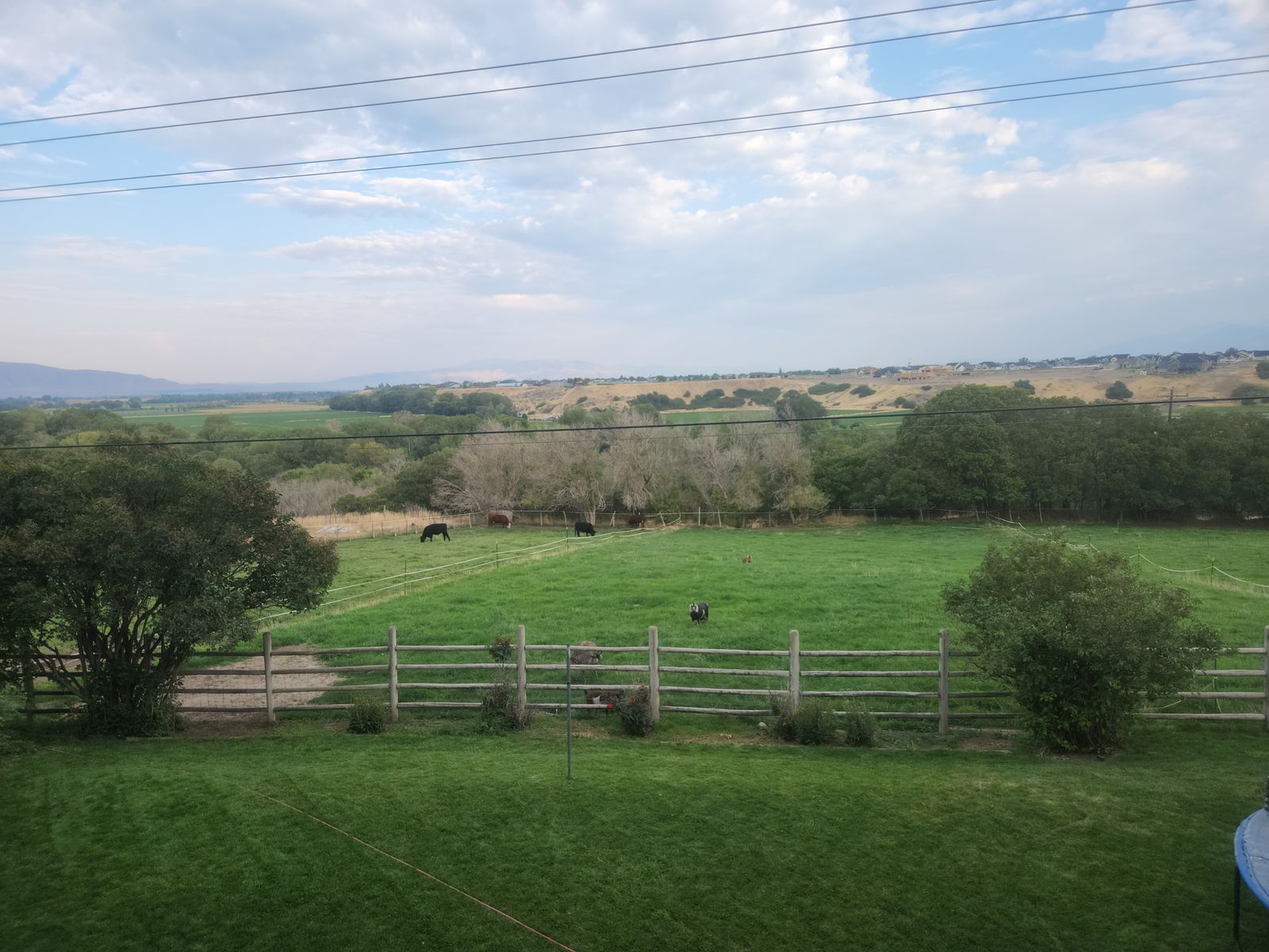 2+ Acres Pasture to Lease