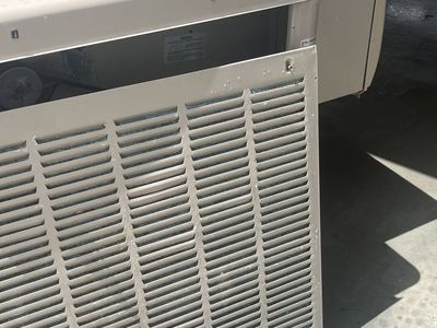 Swamp Cooler