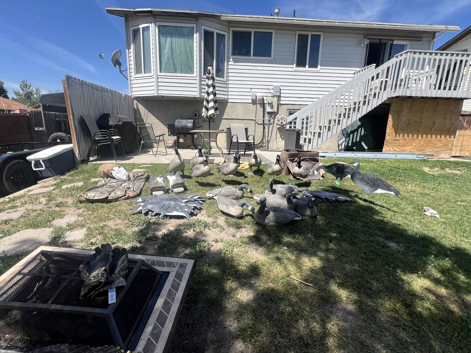 Geese decoys