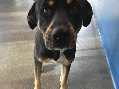 Hello my name is Rainey