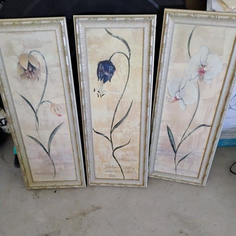 Set of 3 Framed Botanical Floral Wall Art Prints