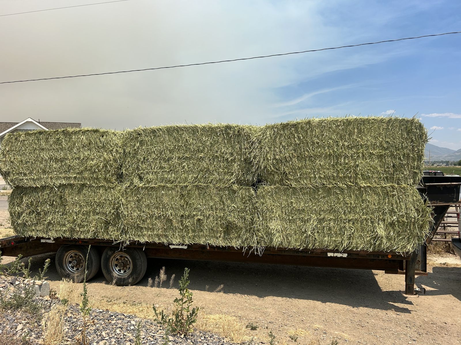3 Way Hay