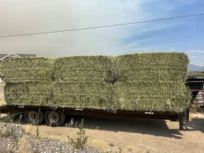 3 Way Hay