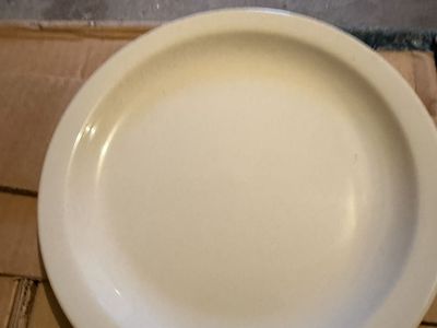 9 Inch Round White Plate(42)