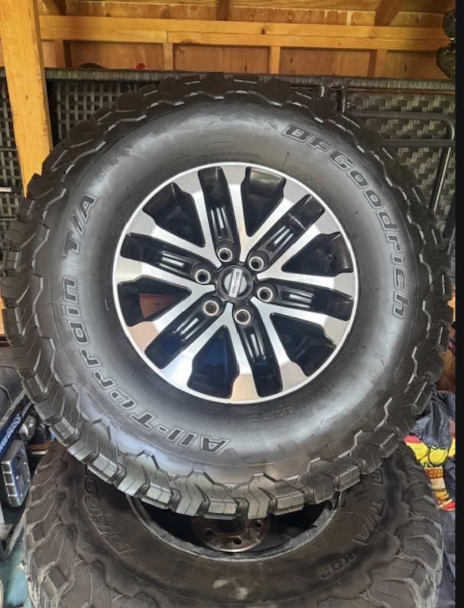 Raptor Tires and Rims