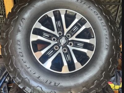 Raptor Tires and Rims