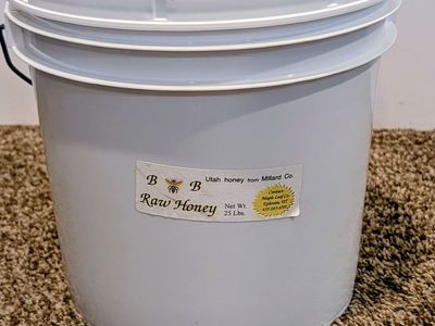Pure Raw Utah Honey — 25 lb Bucket from Millard County