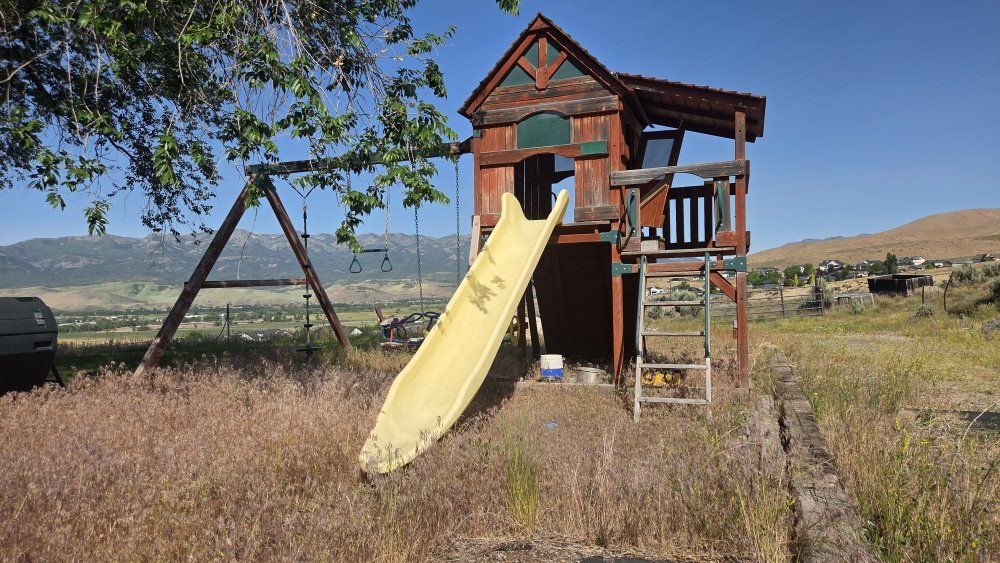 Playground Swing set