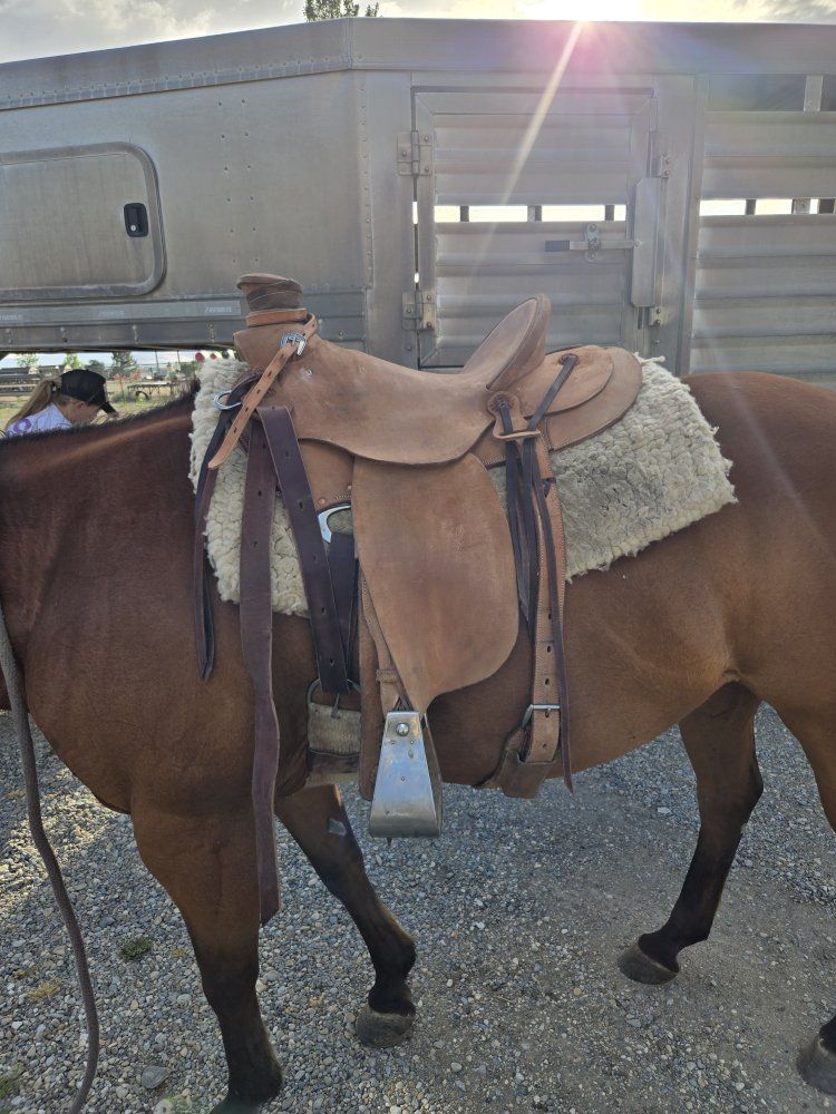 custom wade saddle