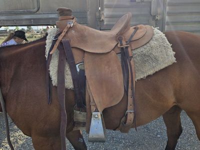 custom wade saddle