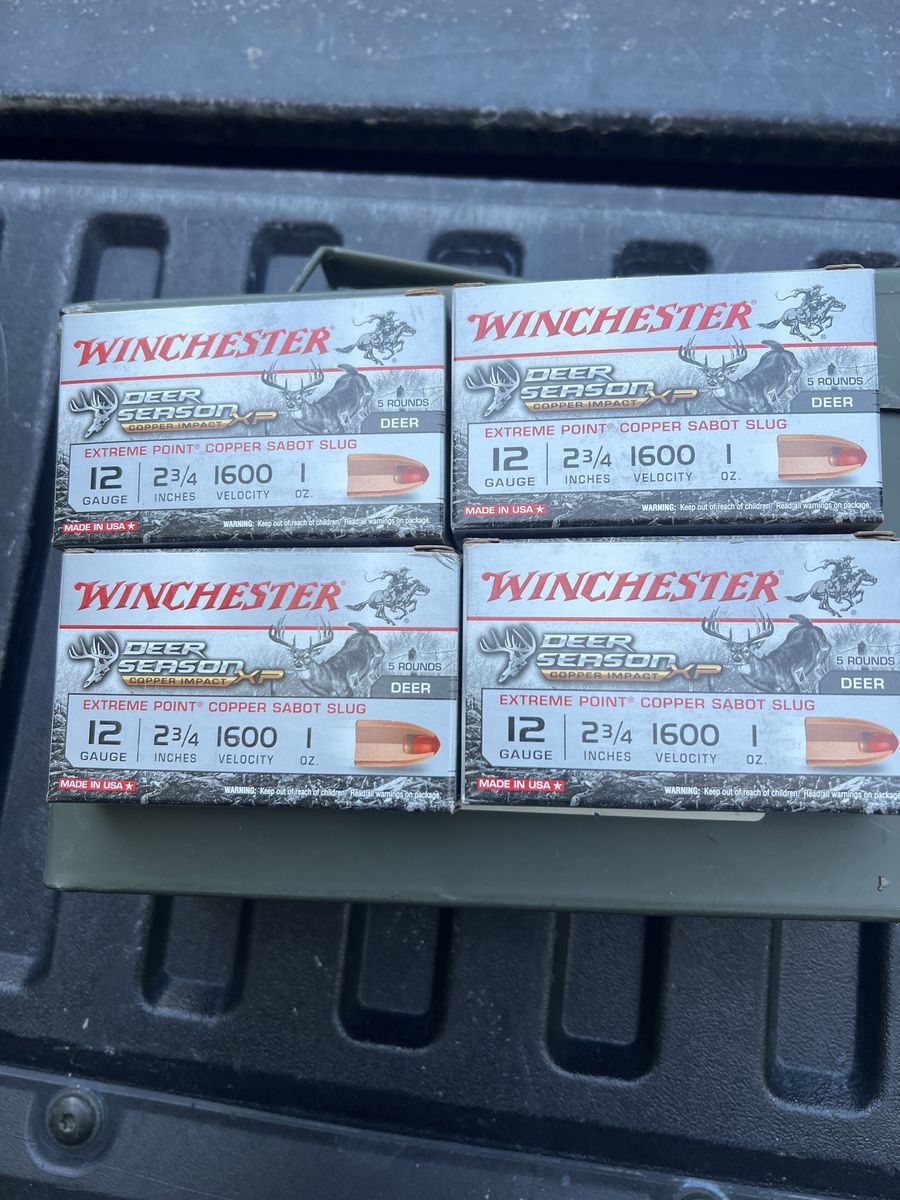 Winchester sabot slugs