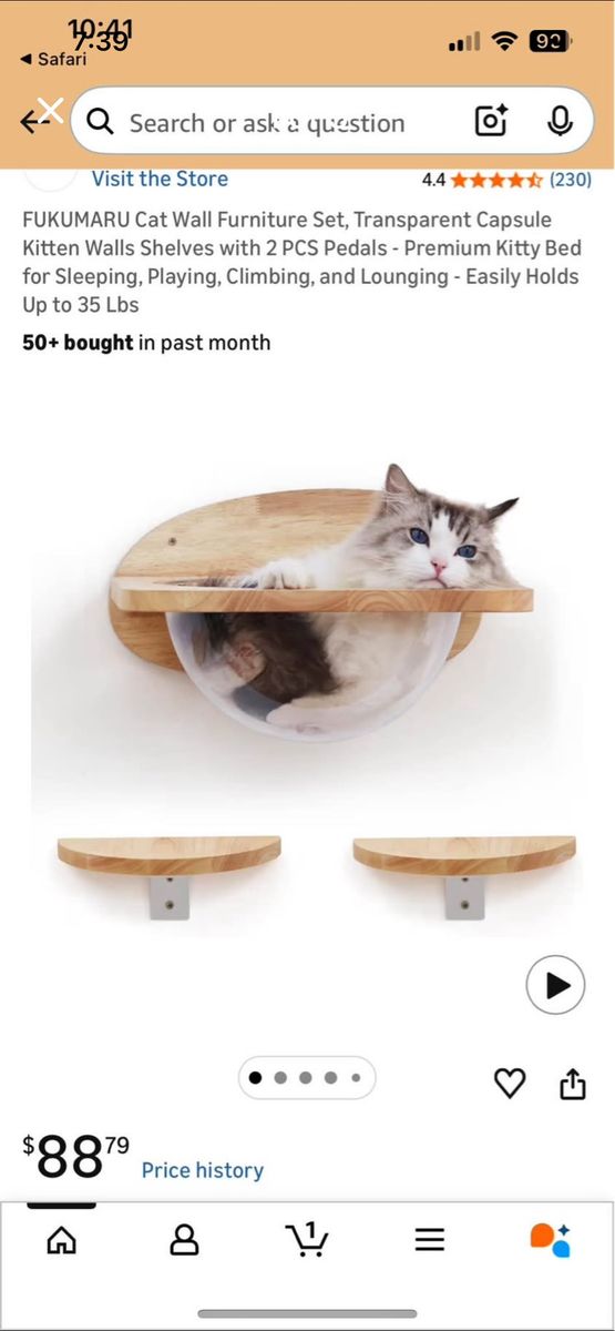 Fukumaru Cat Wall Furniture-New In Box