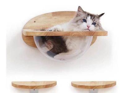 Fukumaru Cat Wall Furniture-New In Box
