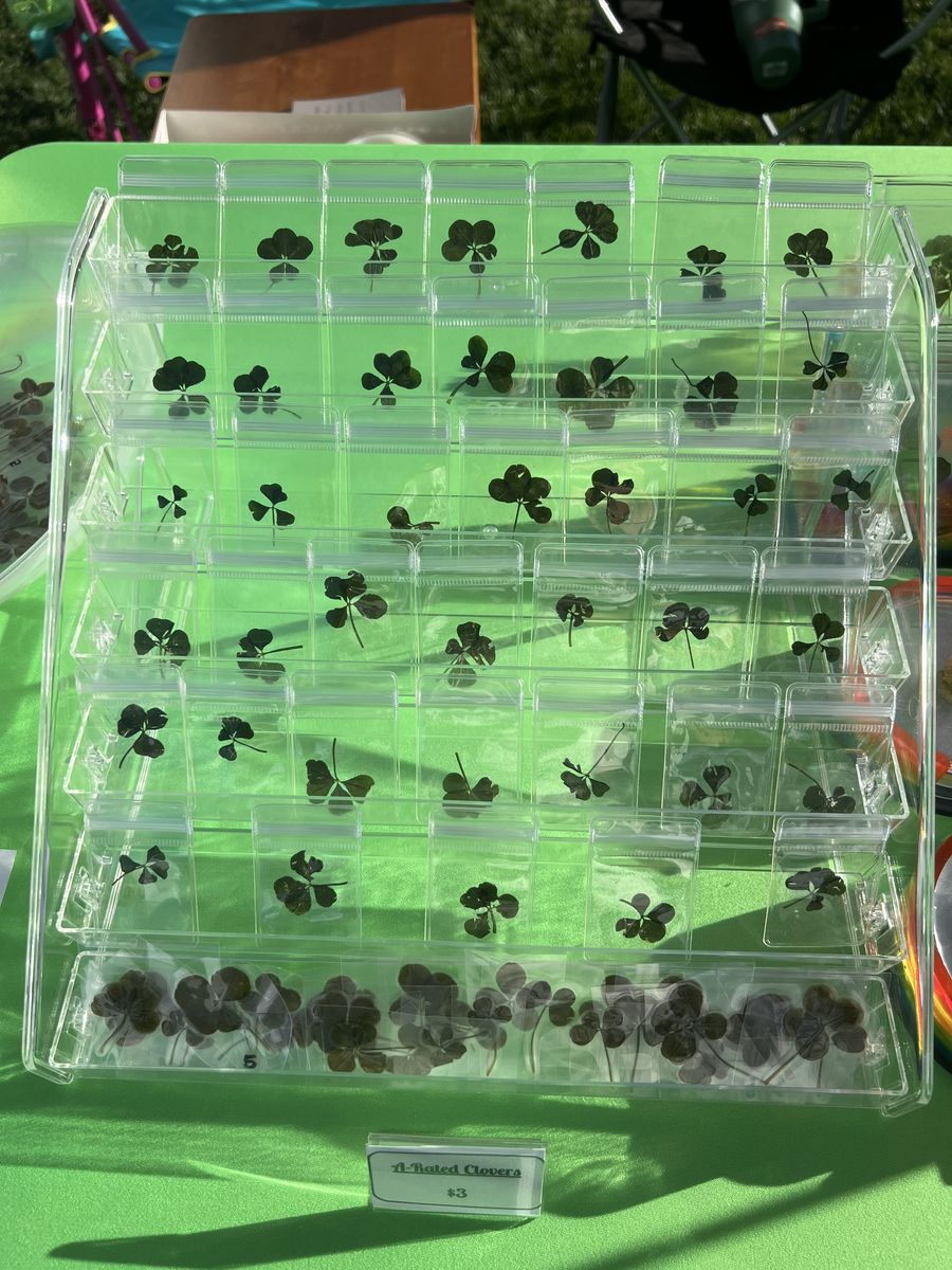 Handpicked Lucky 4-Leaf Clover Charm Gifts