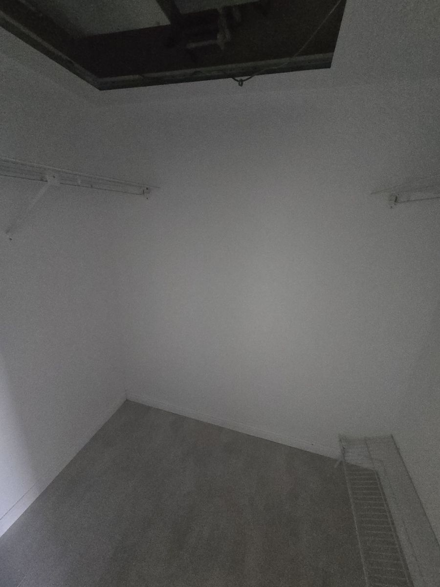 Main image 5