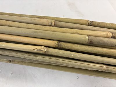 Bundle of Bamboo Poles 6 feet long