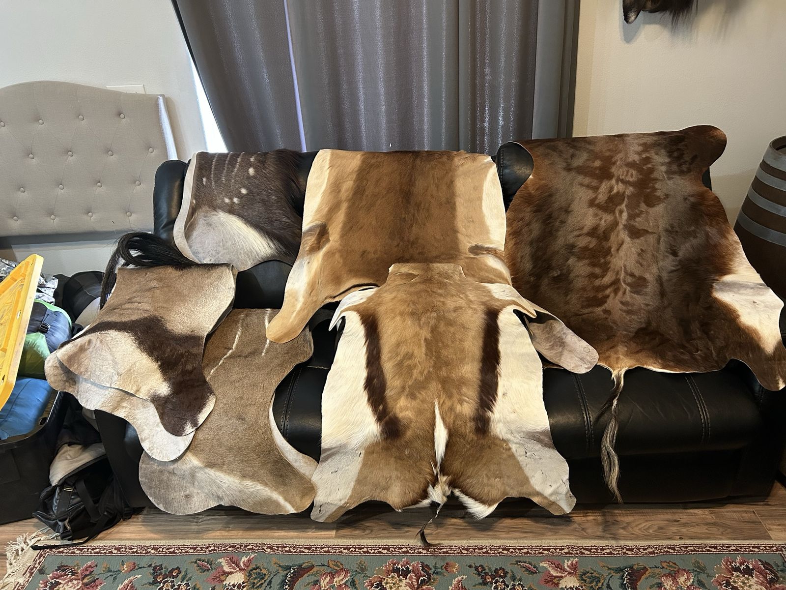 African Plains Game Hides