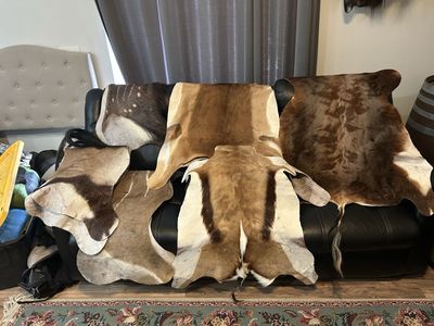 African Plains Game Hides