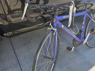 Windsor Youth Road Bike