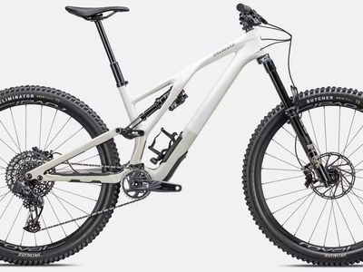 Stumpjumper EVO Expert Carbon S5
