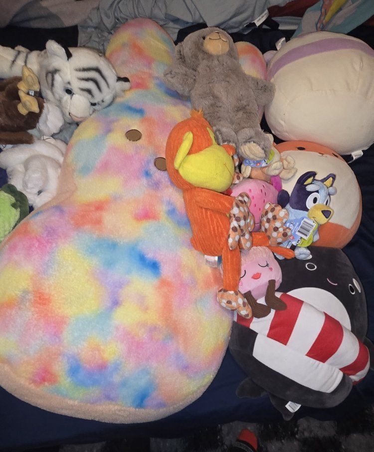 Assorted Stuffed Animals Plush Toys Lot Squishmallows Peeps Bluey Animals