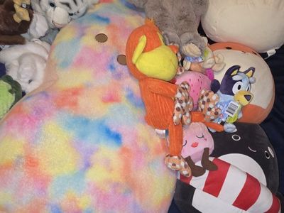 Assorted Stuffed Animals Plush Toys Lot Squishmallows Peeps Bluey Animals