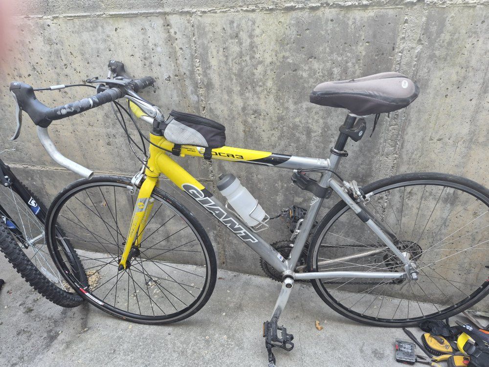 giant ocr3 size medium  frame