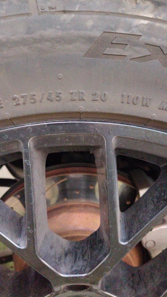 Main image 6