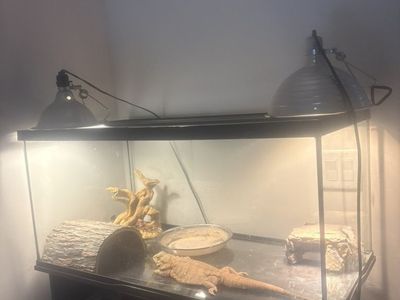 Reptile Tank