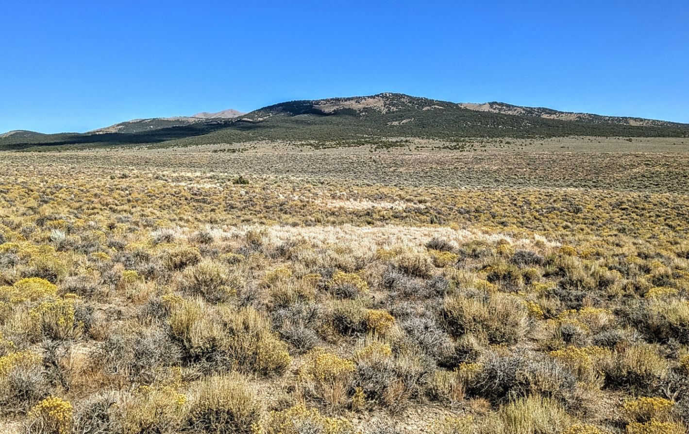 Your Private Gateway to BLM Land in Montello!