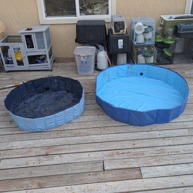 Collapsible dog/kiddie pools