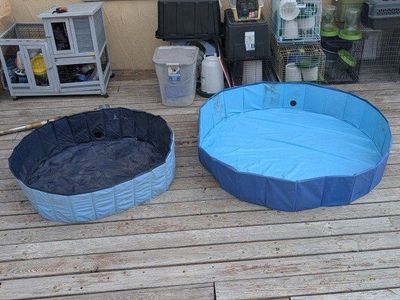 Collapsible dog/kiddie pools