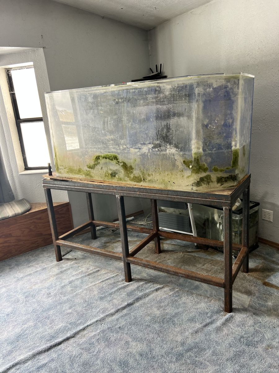 200 gallon plexiglass aquarium