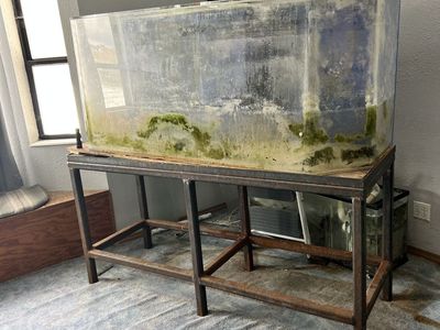 200 gallon plexiglass aquarium