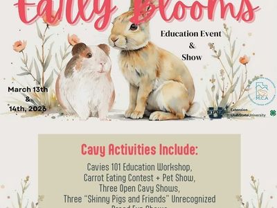 Come To Our Guinea Pig Show and 4H Education Event