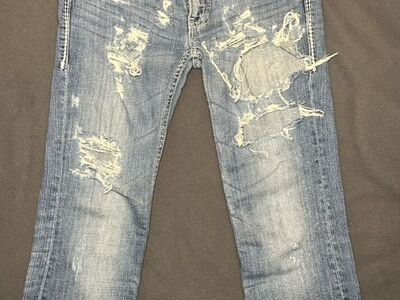 Daytrip Leo Bootcut Jeans