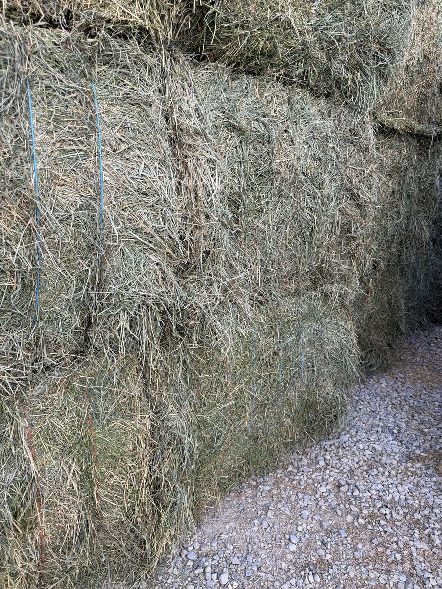 Alfalfa/Grass Hay Mix - 2nd Crop 3x4 Bales (Approx. 1100 lbs ea) - 11 Bales Available