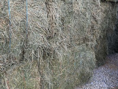 Alfalfa/Grass Hay Mix - 2nd Crop 3x4 Bales (Approx. 1100 lbs ea) - 11 Bales Available