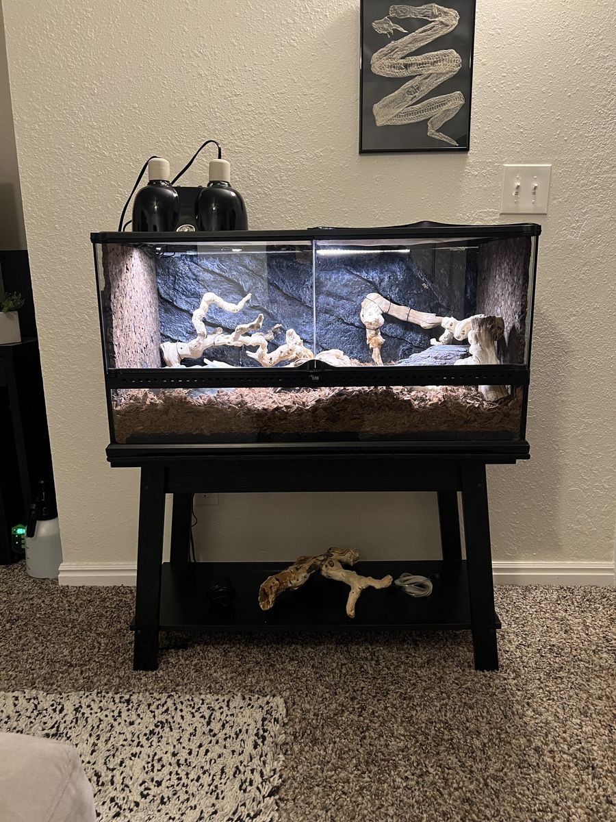 Reptile enclosure with stand