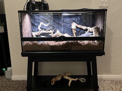 Reptile enclosure with stand