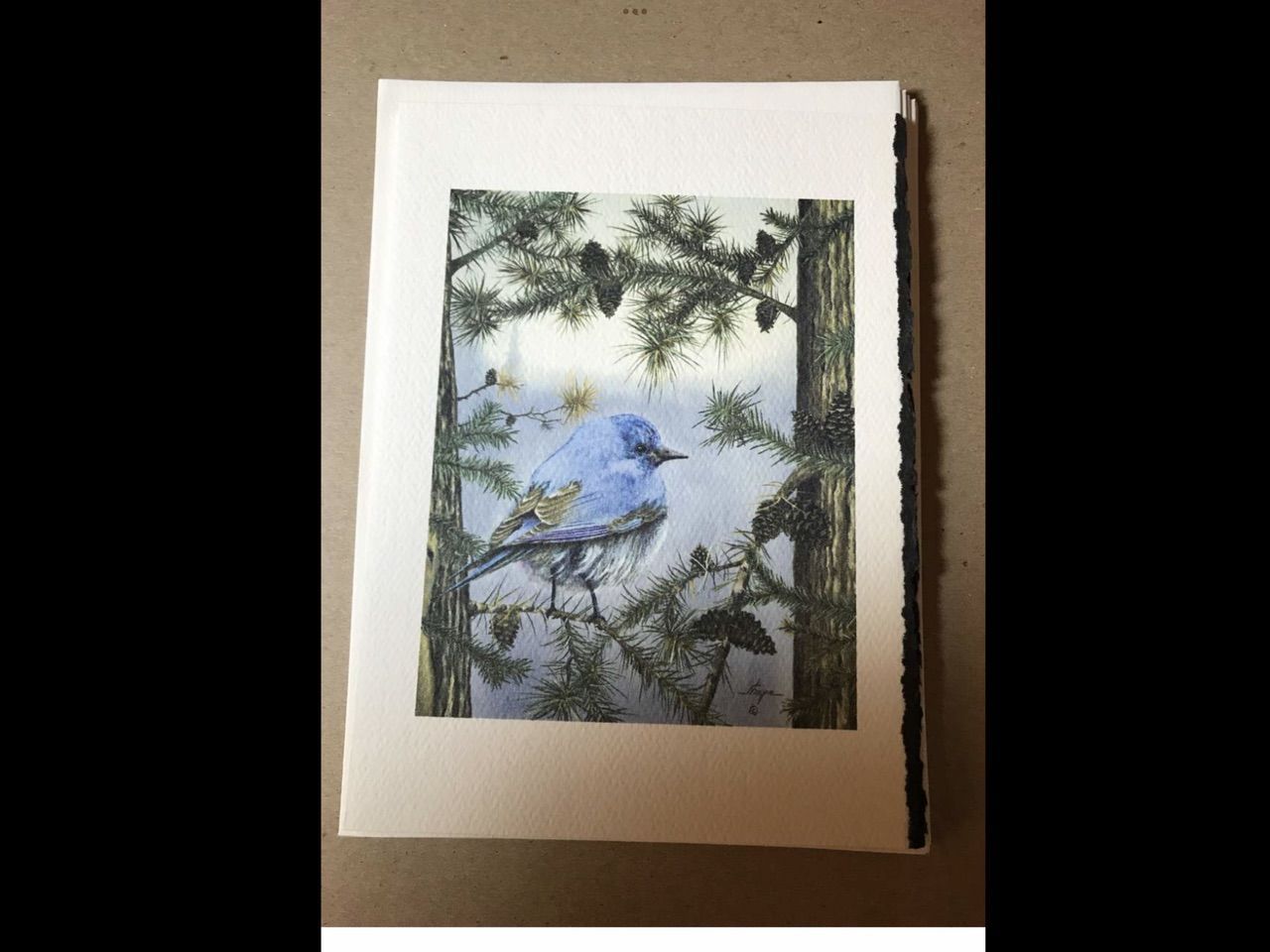 Main image 7