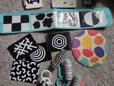 Lovevery The Looker Play Kit