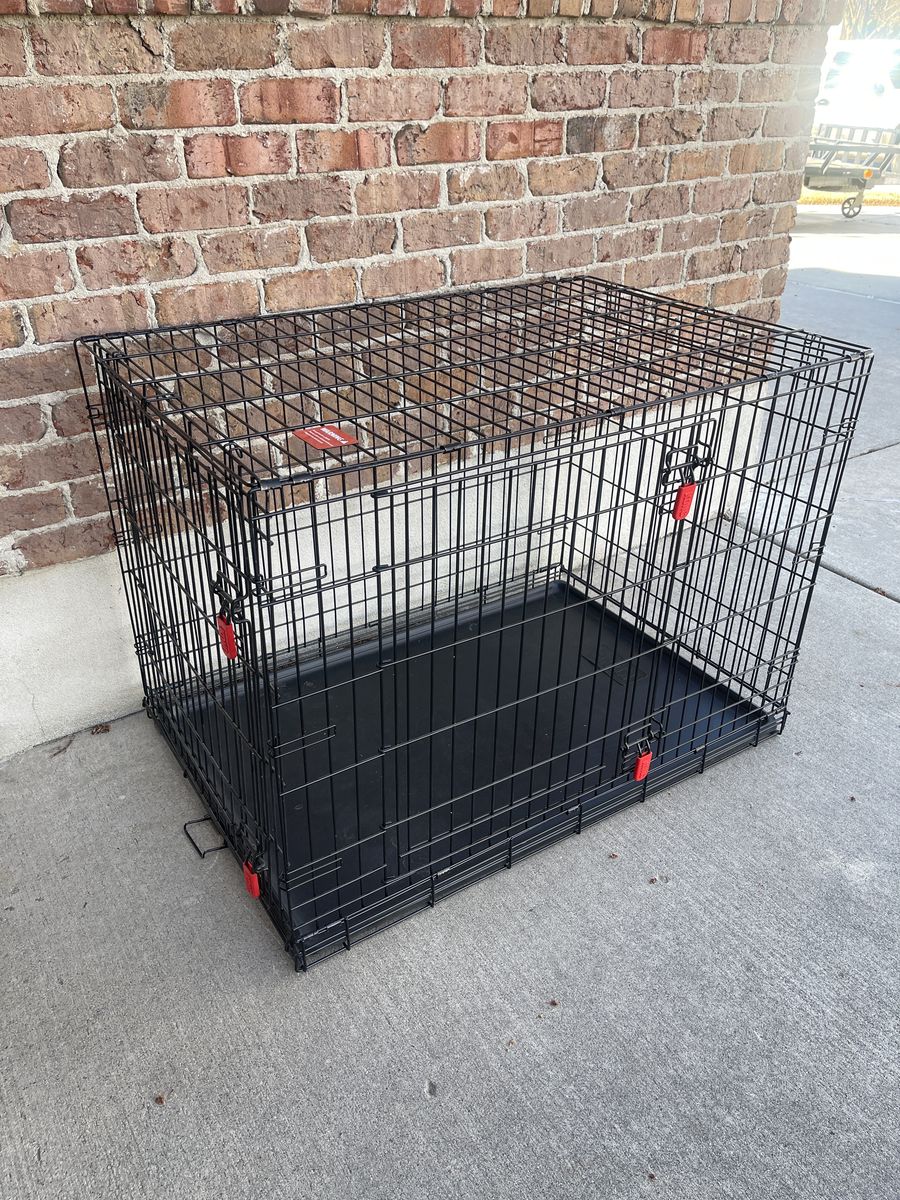 Kong Crate For A Large Dog