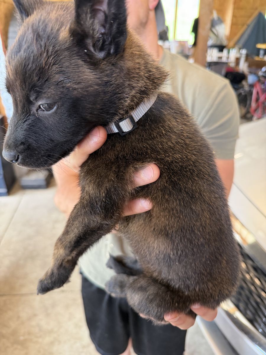 Main image 4