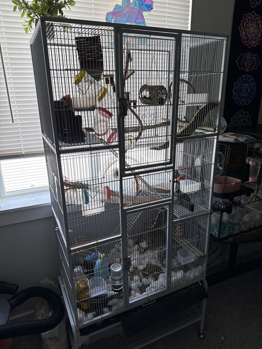 Gerbil Mansion