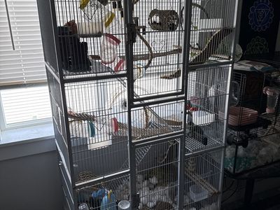 Gerbil Mansion